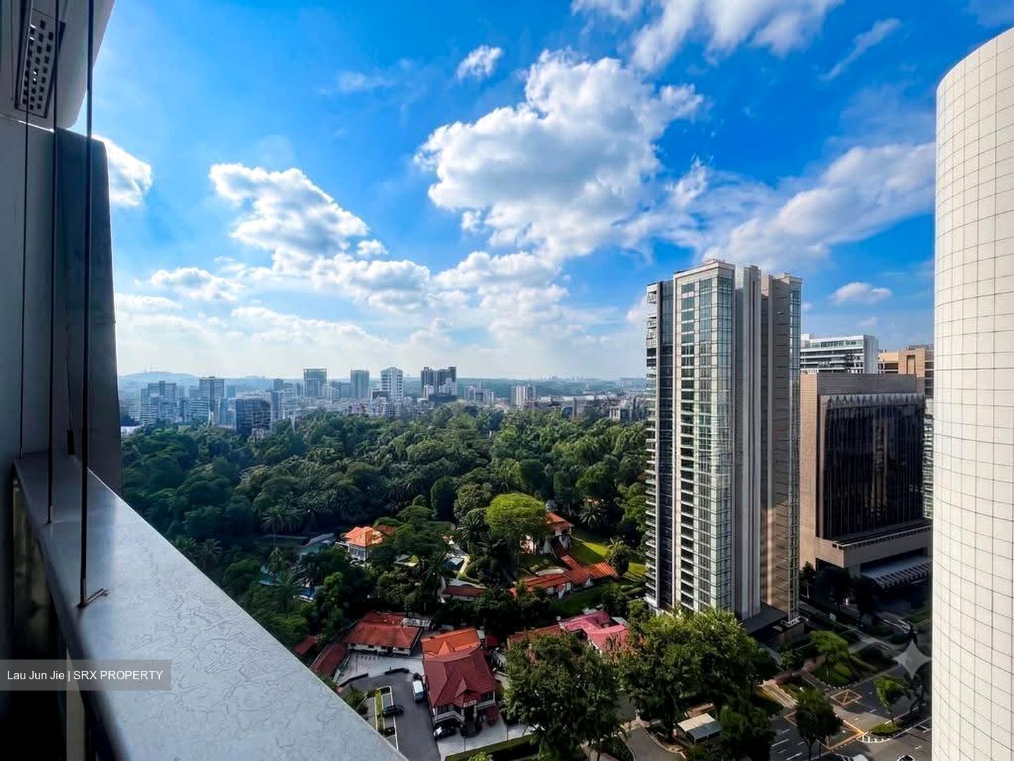 The Scotts Tower (D9), Condominium #625005241